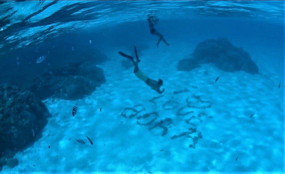 Bora Bora : le lagon, les requins, les raies pastenagues